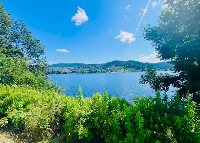 A Vacation Just For ! *